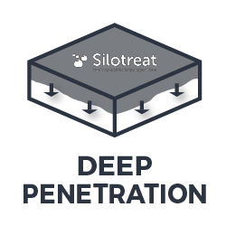 SiloTreat Stone DH прониква дълбоко в камъка и го защитава